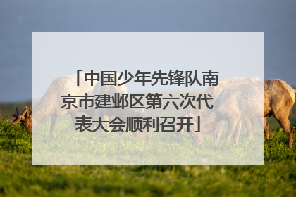 中国少年先锋队南京市建邺区第六次代表大会顺利召开