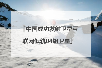 中国成功发射卫星互联网低轨04组卫星