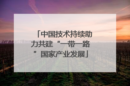 中国技术持续助力共建“一带一路”国家产业发展