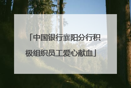 中国银行襄阳分行积极组织员工爱心献血