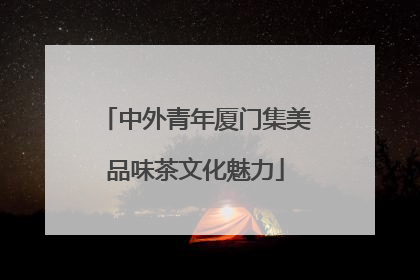 中外青年厦门集美品味茶文化魅力