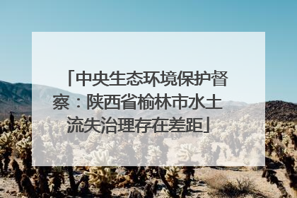 中央生态环境保护督察：陕西省榆林市水土流失治理存在差距