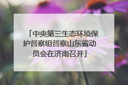 中央第三生态环境保护督察组督察山东省动员会在济南召开