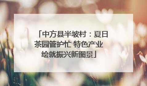 中方县半坡村：夏日茶园管护忙 特色产业绘就振兴新图景