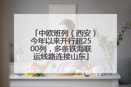 中欧班列（西安）今年以来开行超2500列，多条铁海联运线路连接山东