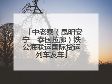 中老泰（昆明安宁—泰国拉廊）铁公海联运国际货运列车发车