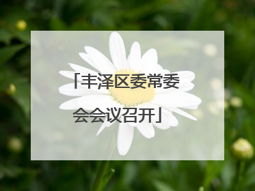 丰泽区委常委会会议召开