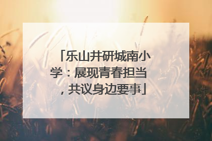 乐山井研城南小学：展现青春担当，共议身边要事