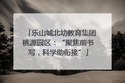 乐山城北幼教育集团桃源园区：“聚焦前书写，科学助衔接”