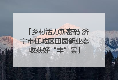 乡村活力新密码 济宁市任城区田园新业态收获好“丰”景