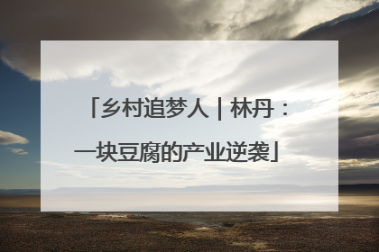 乡村追梦人｜林丹：一块豆腐的产业逆袭