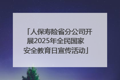 人保寿险省分公司开展2025年全民国家安全教育日宣传活动