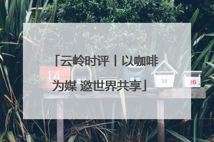 云岭时评丨以咖啡为媒 邀世界共享