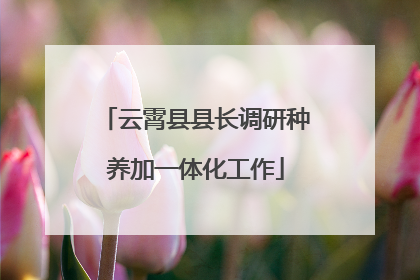 云霄县县长调研种养加一体化工作