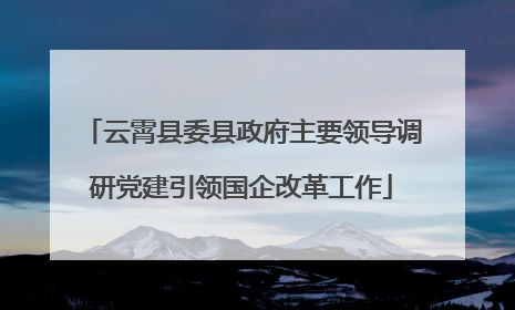 云霄县委县政府主要领导调研党建引领国企改革工作
