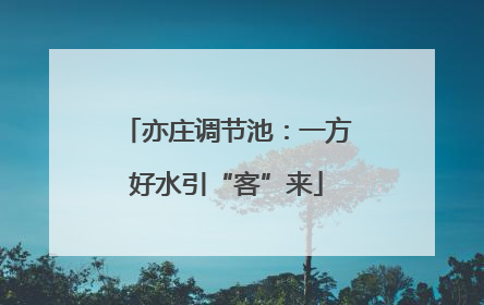 亦庄调节池：一方好水引“客”来