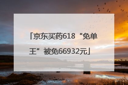 京东买药618“免单王”被免66932元