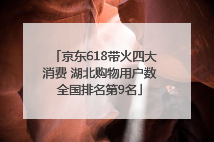 京东618带火四大消费 湖北购物用户数全国排名第9名