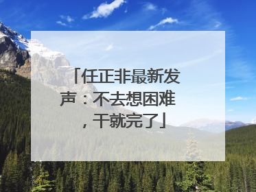 任正非最新发声：不去想困难，干就完了