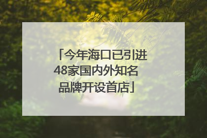今年海口已引进48家国内外知名品牌开设首店