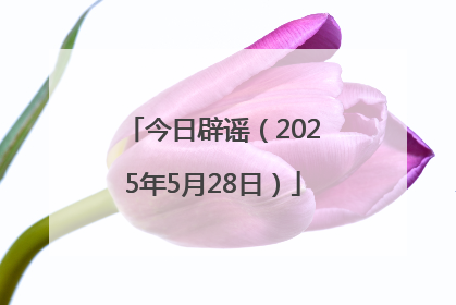 今日辟谣（2025年5月28日）