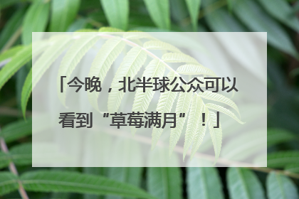 今晚，北半球公众可以看到“草莓满月”！