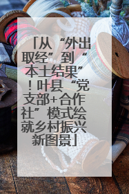 从“外出取经”到“本土结果”！叶县“党支部+合作社”模式绘就乡村振兴新图景