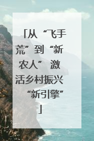 从“飞手荒”到“新农人” 激活乡村振兴“新引擎”