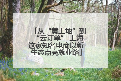 从“黄土地”到“云订单” 上海这家知名电商以新生态点亮就业路