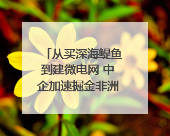 从买深海鳀鱼到建微电网 中企加速掘金非洲现代化｜直击中非经贸博览会