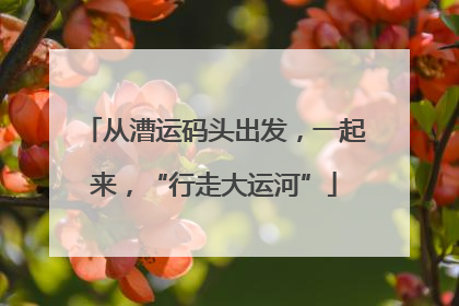 从漕运码头出发，一起来，“行走大运河”