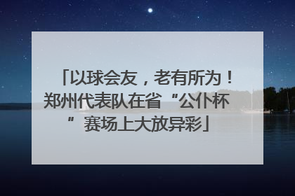 以球会友，老有所为！郑州代表队在省“公仆杯”赛场上大放异彩