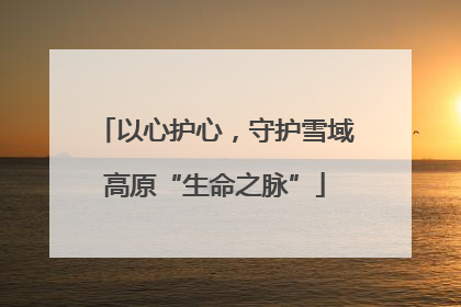 以心护心，守护雪域高原“生命之脉”