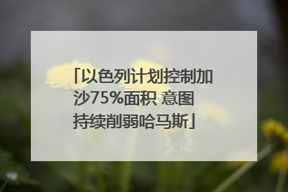 以色列计划控制加沙75%面积 意图持续削弱哈马斯