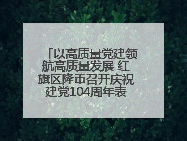 以高质量党建领航高质量发展 红旗区隆重召开庆祝建党104周年表彰大会