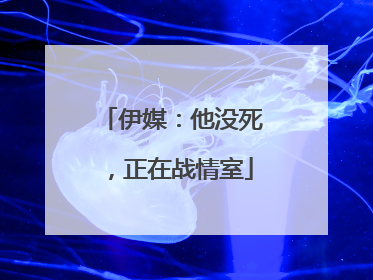 伊媒：他没死，正在战情室