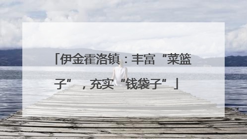 伊金霍洛镇：丰富“菜篮子”，充实“钱袋子”