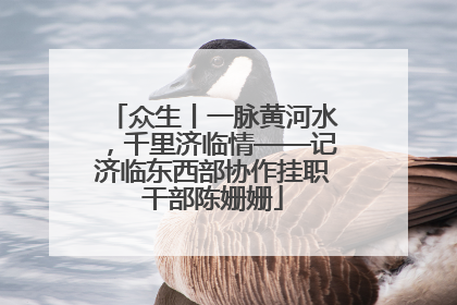 众生丨一脉黄河水，千里济临情——记济临东西部协作挂职干部陈姗姗