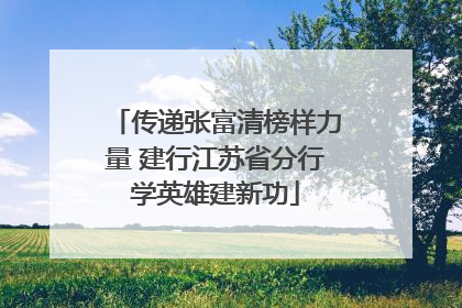 传递张富清榜样力量 建行江苏省分行学英雄建新功