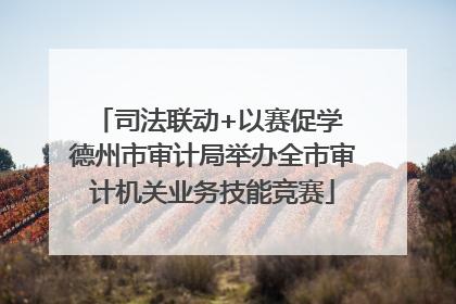 司法联动+以赛促学 德州市审计局举办全市审计机关业务技能竞赛
