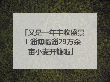 又是一年丰收盛景！淄博临淄29万余亩小麦开镰啦