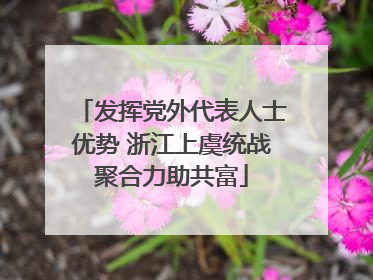 发挥党外代表人士优势 浙江上虞统战聚合力助共富