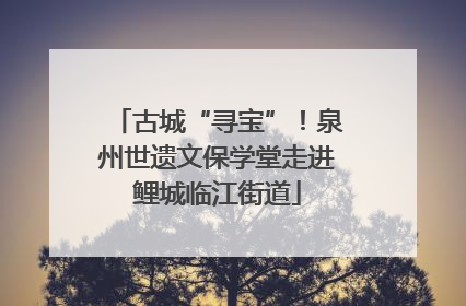 古城“寻宝”！泉州世遗文保学堂走进鲤城临江街道