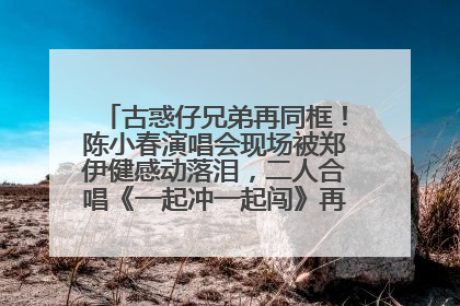 古惑仔兄弟再同框！陈小春演唱会现场被郑伊健感动落泪，二人合唱《一起冲一起闯》再现青春回忆