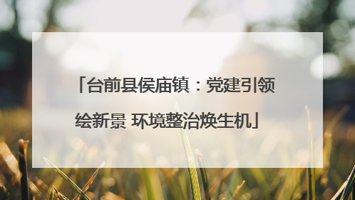 台前县侯庙镇：党建引领绘新景 环境整治焕生机