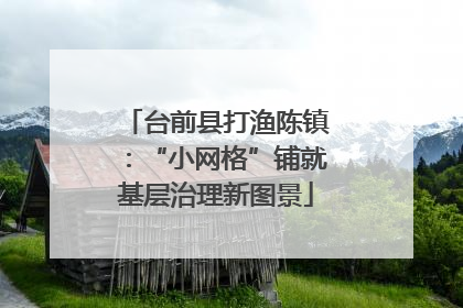 台前县打渔陈镇：“小网格”铺就基层治理新图景