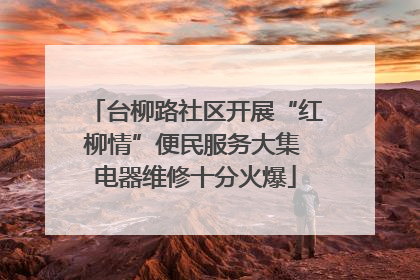 台柳路社区开展“红柳情”便民服务大集 电器维修十分火爆