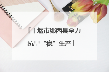 十堰市郧西县全力抗旱“稳”生产
