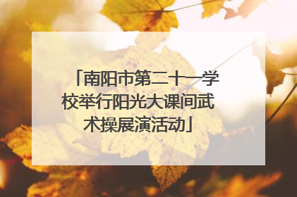 南阳市第二十一学校举行阳光大课间武术操展演活动