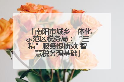 南阳市城乡一体化示范区税务局：“三精”服务提质效 智慧税务强基础
